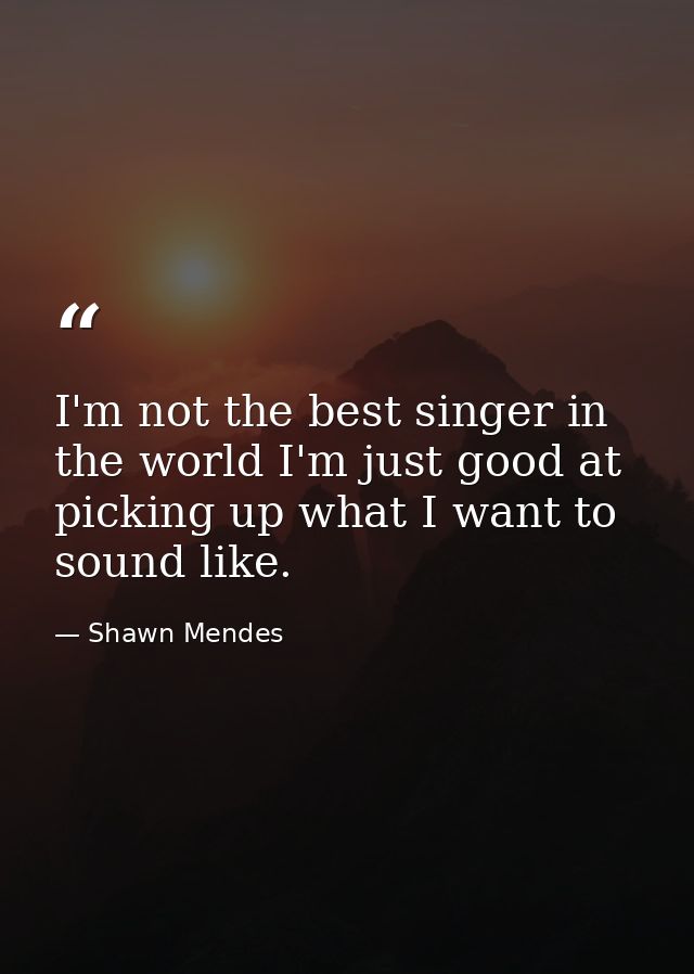 I'm not the best singer in the world I'm just good at picking up what I want to sound like. — Shawn Mendes