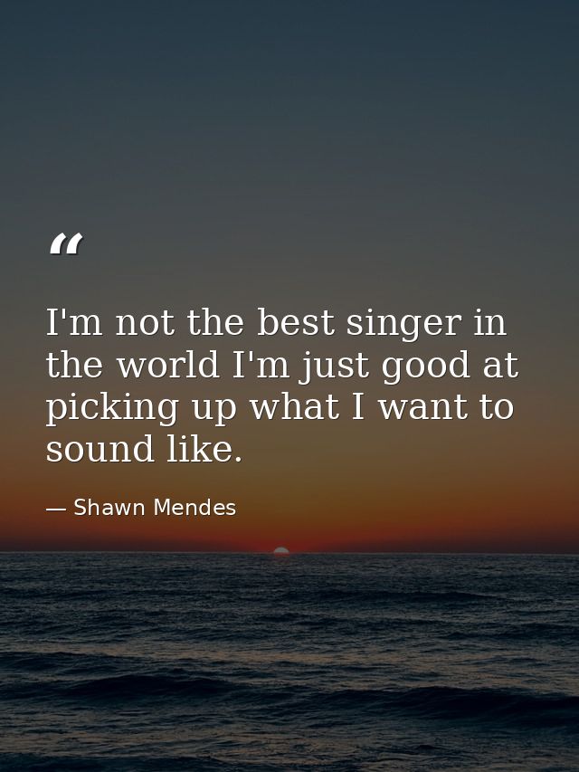 I'm not the best singer in the world I'm just good at picking up what I want to sound like. — Shawn Mendes