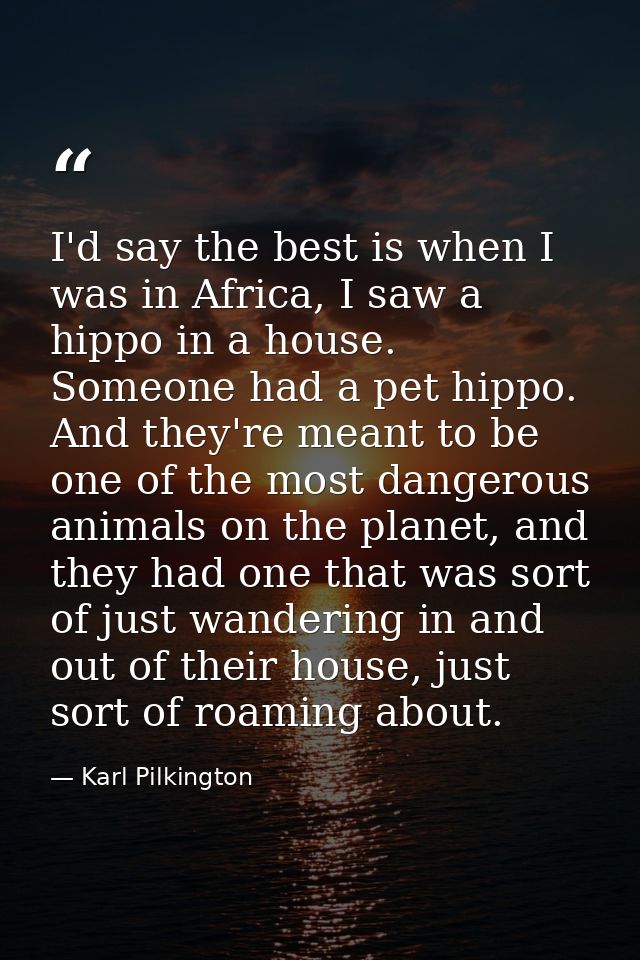 I'd say the best is when I was in Africa, I saw a hippo in a house. Someone had a pet hippo. And they're meant to be one — Karl Pilkington