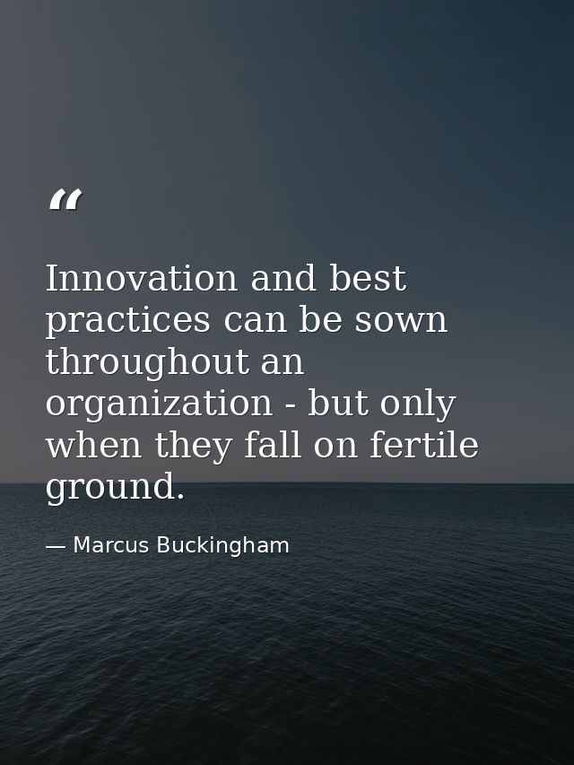 Innovation and best practices can be sown throughout an organization - but only when they fall on fertile ground. — Marcus Buckingham