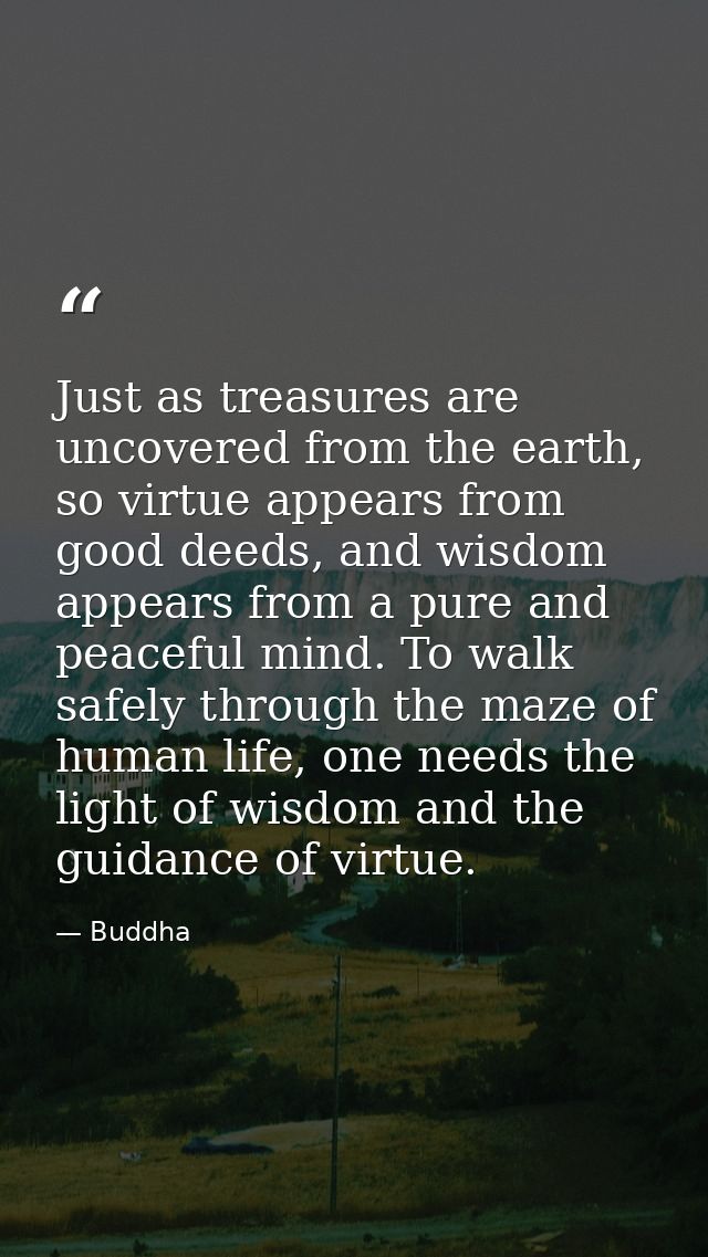 Just as treasures are uncovered from the earth, so virtue appears from good deeds, and wisdom appears from a pure and pe — Buddha