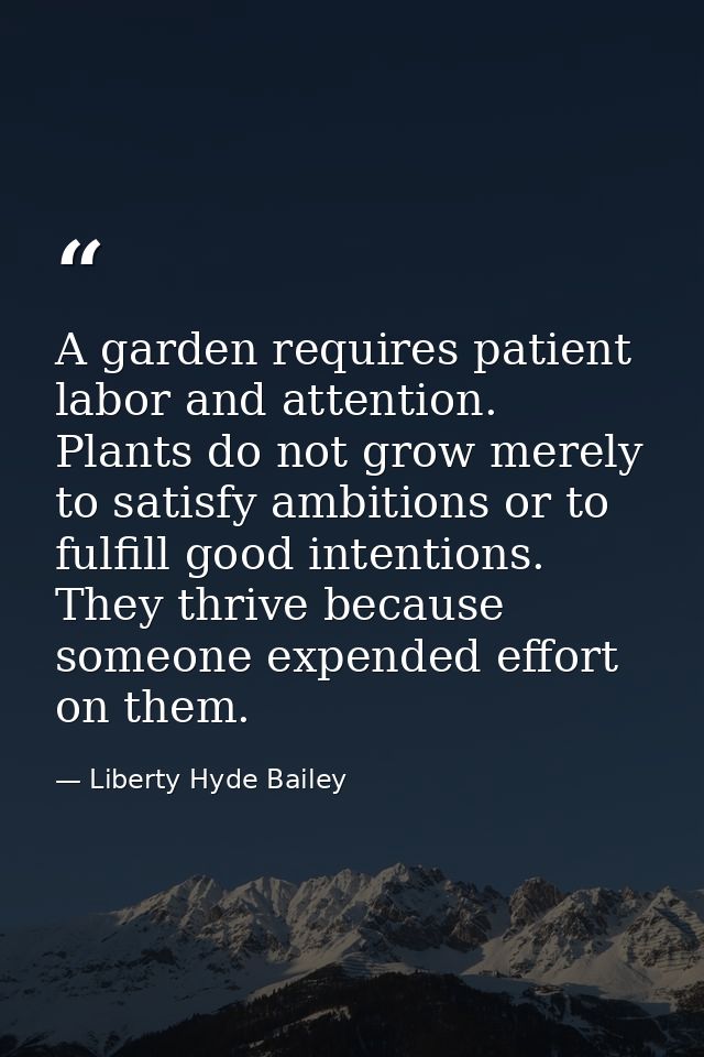A garden requires patient labor and attention. Plants do not grow merely to satisfy ambitions or to fulfill good intenti — Liberty Hyde Bailey