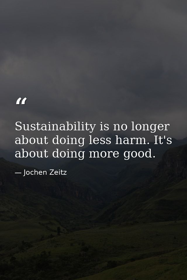 Sustainability is no longer about doing less harm. It's about doing more good. — Jochen Zeitz