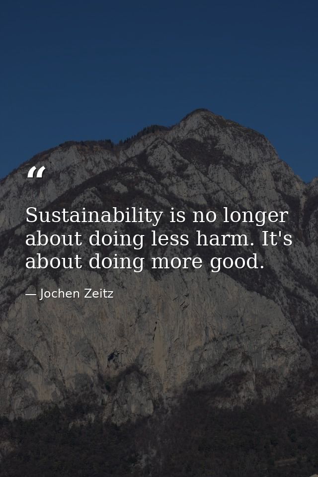 Sustainability is no longer about doing less harm. It's about doing more good. — Jochen Zeitz