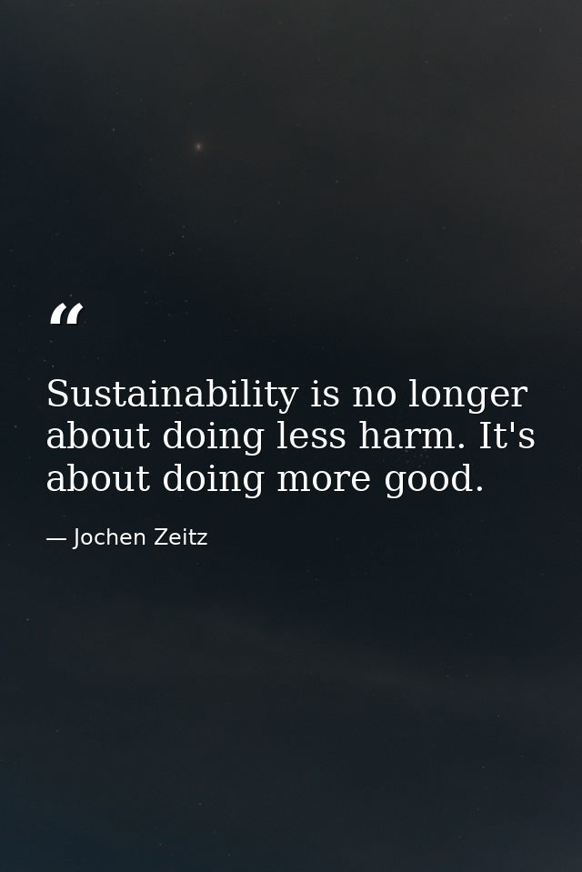 Sustainability is no longer about doing less harm. It's about doing more good. — Jochen Zeitz