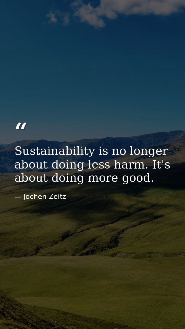 Sustainability is no longer about doing less harm. It's about doing more good. — Jochen Zeitz