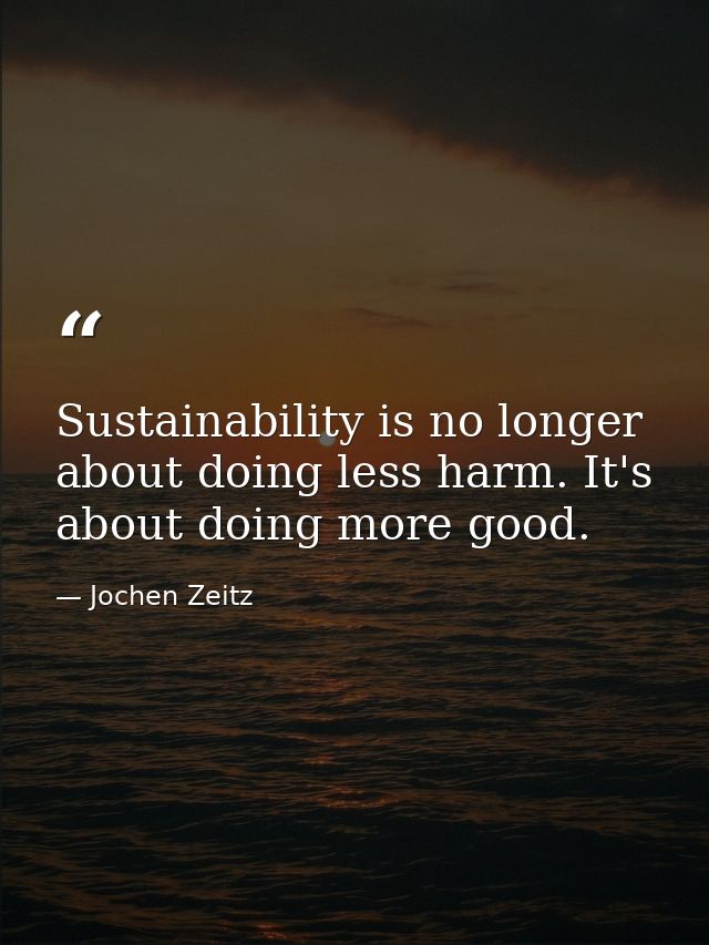 Sustainability is no longer about doing less harm. It's about doing more good. — Jochen Zeitz