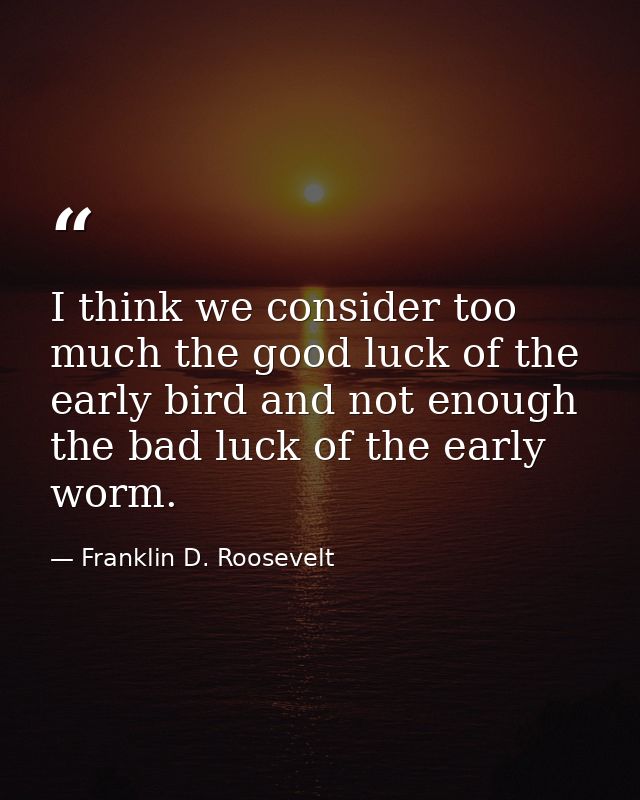 I think we consider too much the good luck of the early bird and not enough the bad luck of the early worm. — Franklin D. Roosevelt