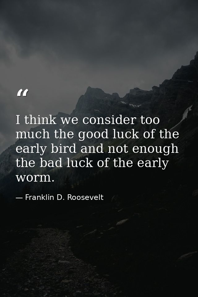 I think we consider too much the good luck of the early bird and not enough the bad luck of the early worm. — Franklin D. Roosevelt