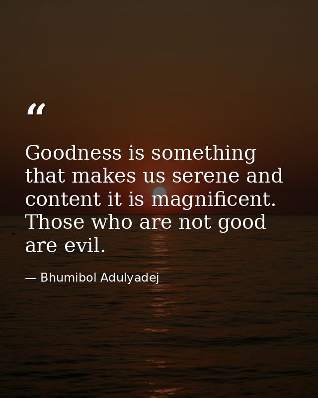 Goodness is something that makes us serene and content it is magnificent. Those who are not good are evil. — Bhumibol Adulyadej