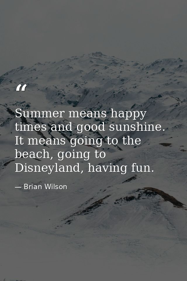 Summer means happy times and good sunshine. It means going to the beach, going to Disneyland, having fun. — Brian Wilson