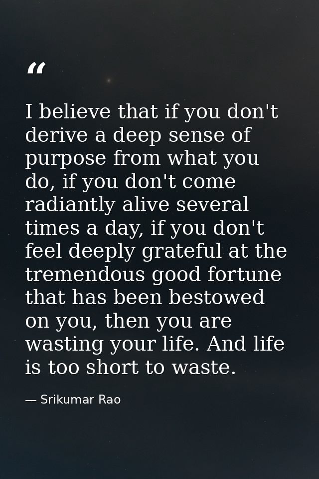 I believe that if you don't derive a deep sense of purpose from what you do, if you don't come radiantly alive several t — Srikumar Rao