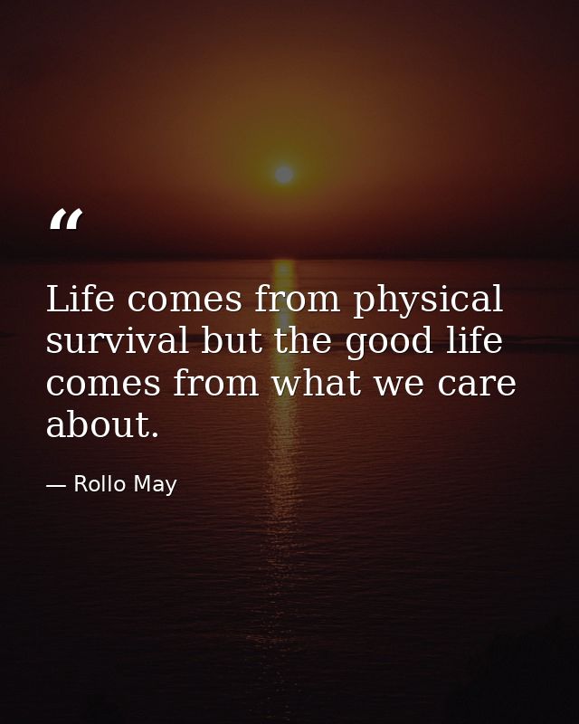 Life comes from physical survival but the good life comes from what we care about. — Rollo May