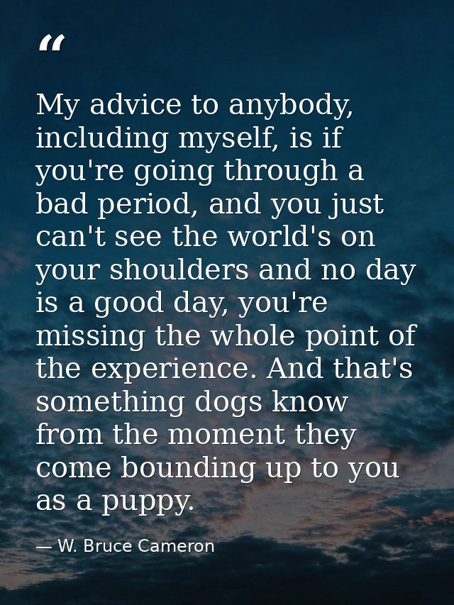 My advice to anybody, including myself, is if you're going through a bad period, and you just can't see the world's on y — W. Bruce Cameron