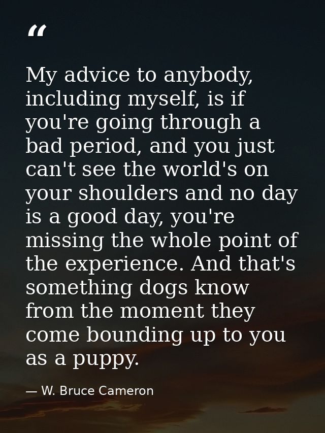 My advice to anybody, including myself, is if you're going through a bad period, and you just can't see the world's on y — W. Bruce Cameron