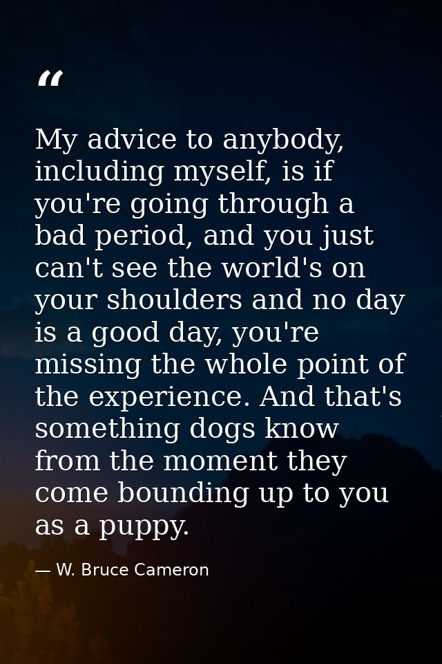 My advice to anybody, including myself, is if you're going through a bad period, and you just can't see the world's on y — W. Bruce Cameron