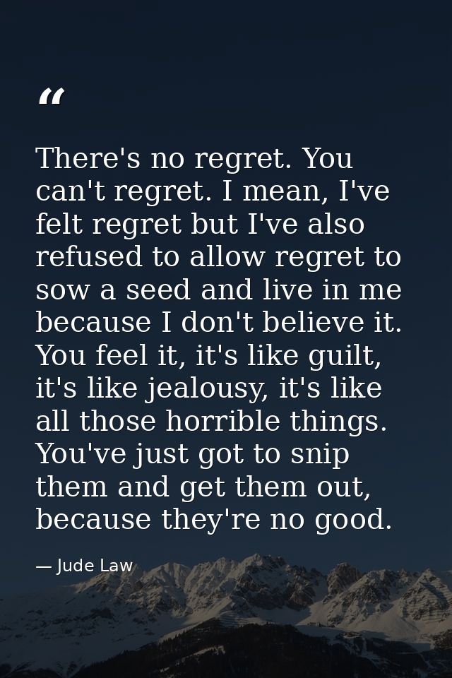 There's no regret. You can't regret. I mean, I've felt regret but I've also refused to allow regret to sow a seed and li — Jude Law