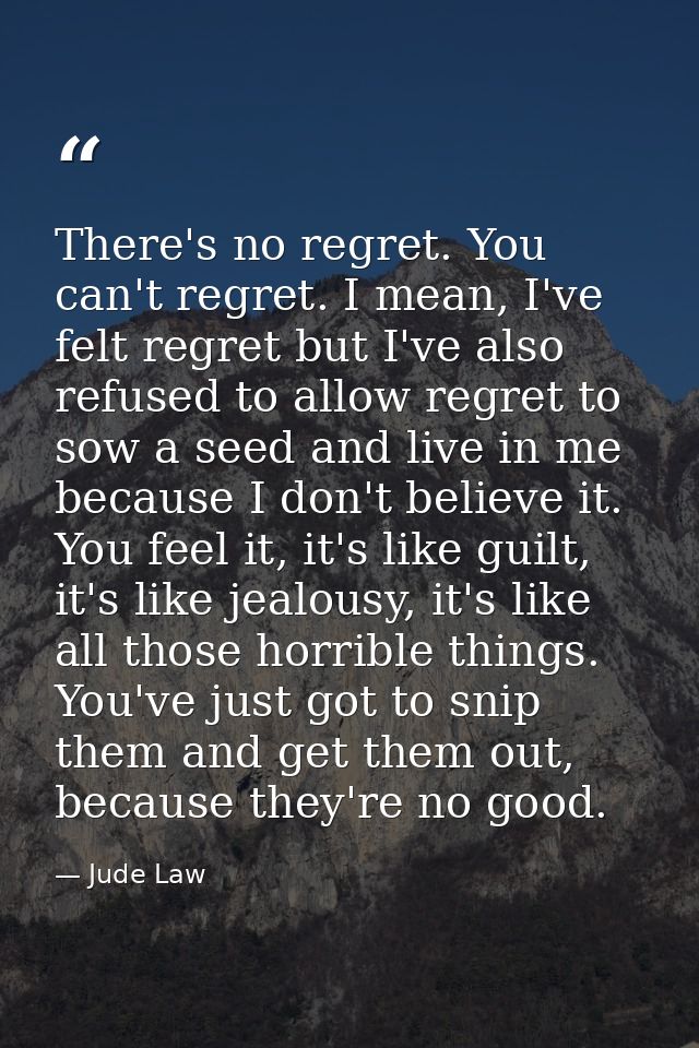 There's no regret. You can't regret. I mean, I've felt regret but I've also refused to allow regret to sow a seed and li — Jude Law