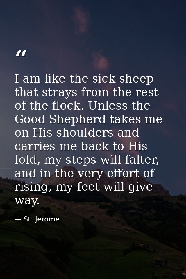 I am like the sick sheep that strays from the rest of the flock. Unless the Good Shepherd takes me on His shoulders and  — St. Jerome