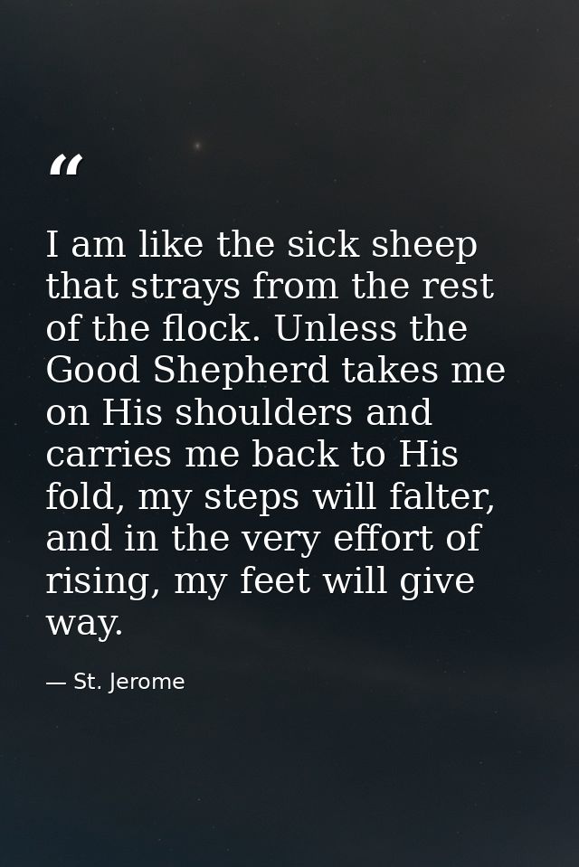 I am like the sick sheep that strays from the rest of the flock. Unless the Good Shepherd takes me on His shoulders and  — St. Jerome