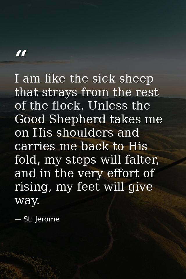 I am like the sick sheep that strays from the rest of the flock. Unless the Good Shepherd takes me on His shoulders and  — St. Jerome