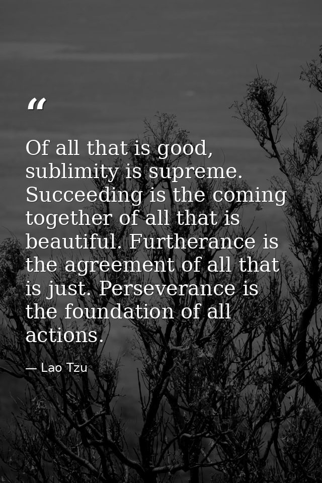 Of all that is good, sublimity is supreme. Succeeding is the coming together of all that is beautiful. Furtherance is th — Lao Tzu