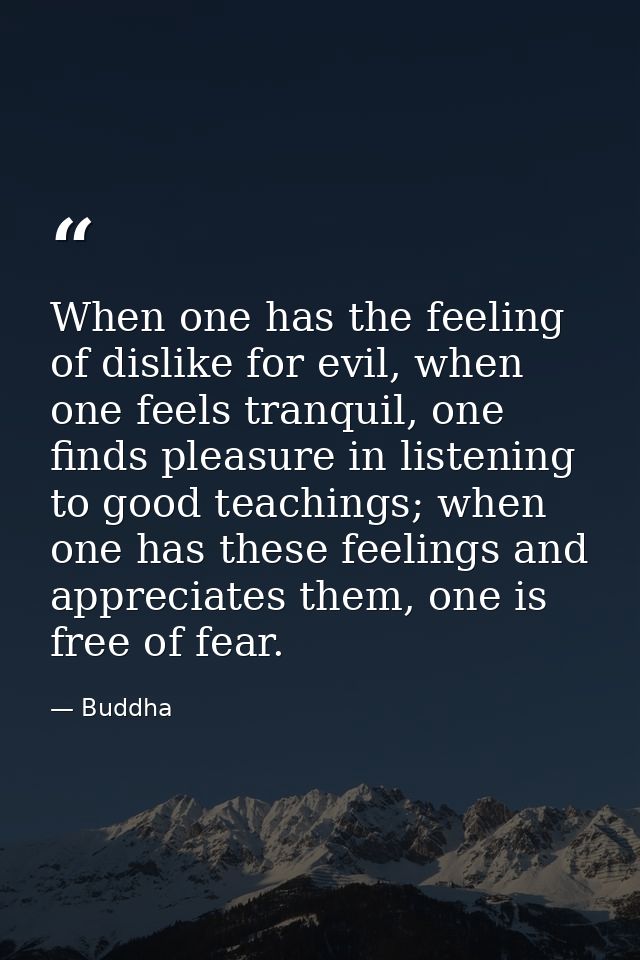 When one has the feeling of dislike for evil, when one feels tranquil, one finds pleasure in listening to good teachings — Buddha