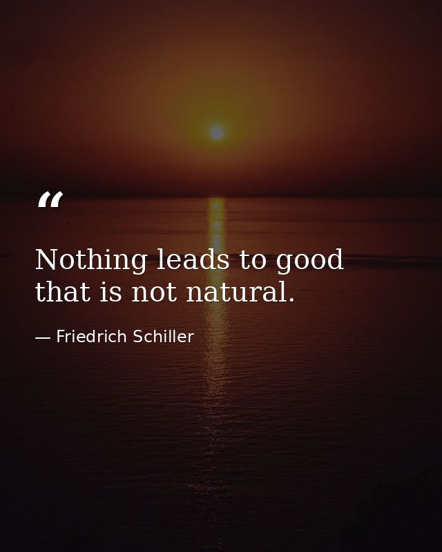 Nothing leads to good that is not natural. — Friedrich Schiller