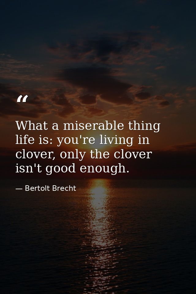 What a miserable thing life is: you're living in clover, only the clover isn't good enough. — Bertolt Brecht