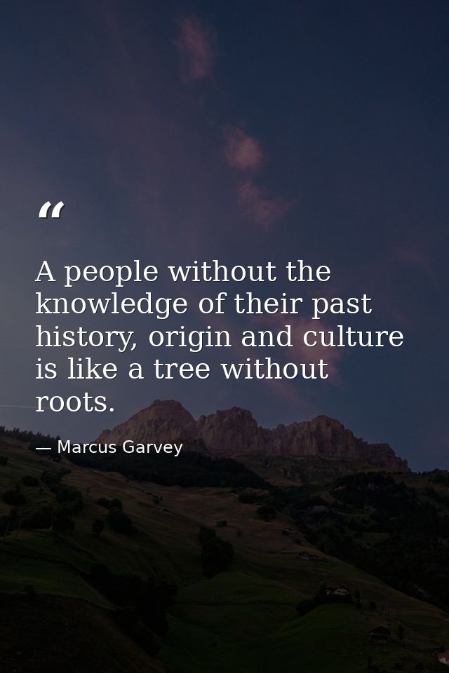 A people without the knowledge of their past history, origin and culture is like a tree without roots. — Marcus Garvey