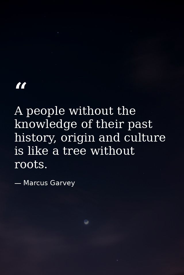A people without the knowledge of their past history, origin and culture is like a tree without roots. — Marcus Garvey
