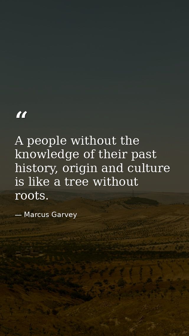 A people without the knowledge of their past history, origin and culture is like a tree without roots. — Marcus Garvey