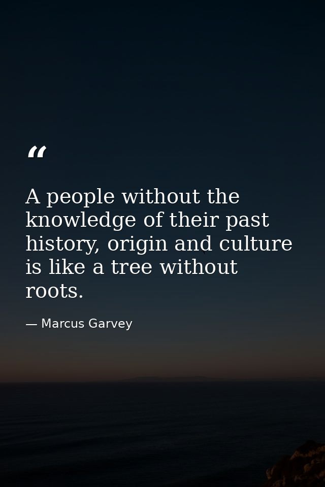 A people without the knowledge of their past history, origin and culture is like a tree without roots. — Marcus Garvey