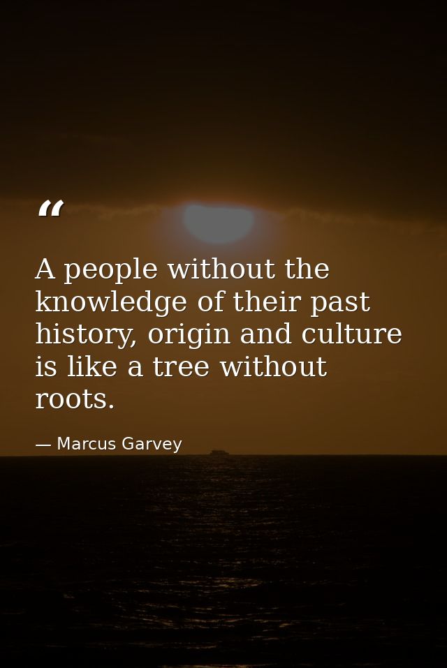 A people without the knowledge of their past history, origin and culture is like a tree without roots. — Marcus Garvey