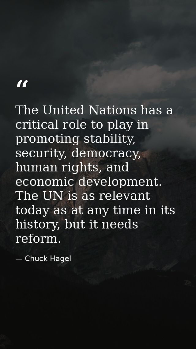 The United Nations has a critical role to play in promoting stability, security, democracy, human rights, and economic d — Chuck Hagel