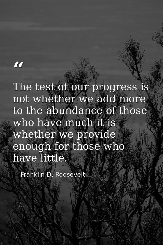 The test of our progress is not whether we add more to the abundance of those who have much it is whether we provide eno — Franklin D. Roosevelt