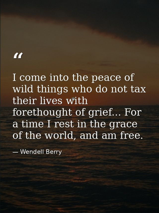 I come into the peace of wild things who do not tax their lives with forethought of grief... For a time I rest in the gr — Wendell Berry