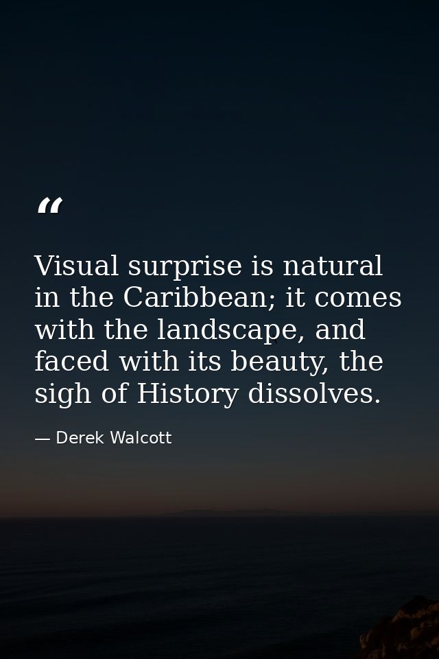 Visual surprise is natural in the Caribbean; it comes with the landscape, and faced with its beauty, the sigh of History — Derek Walcott
