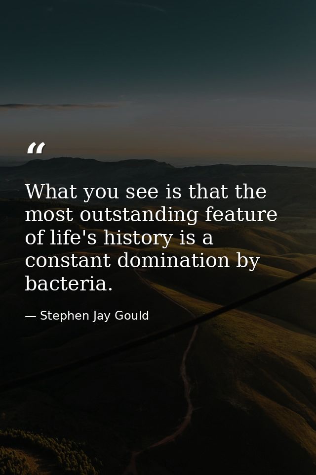 What you see is that the most outstanding feature of life's history is a constant domination by bacteria. — Stephen Jay Gould