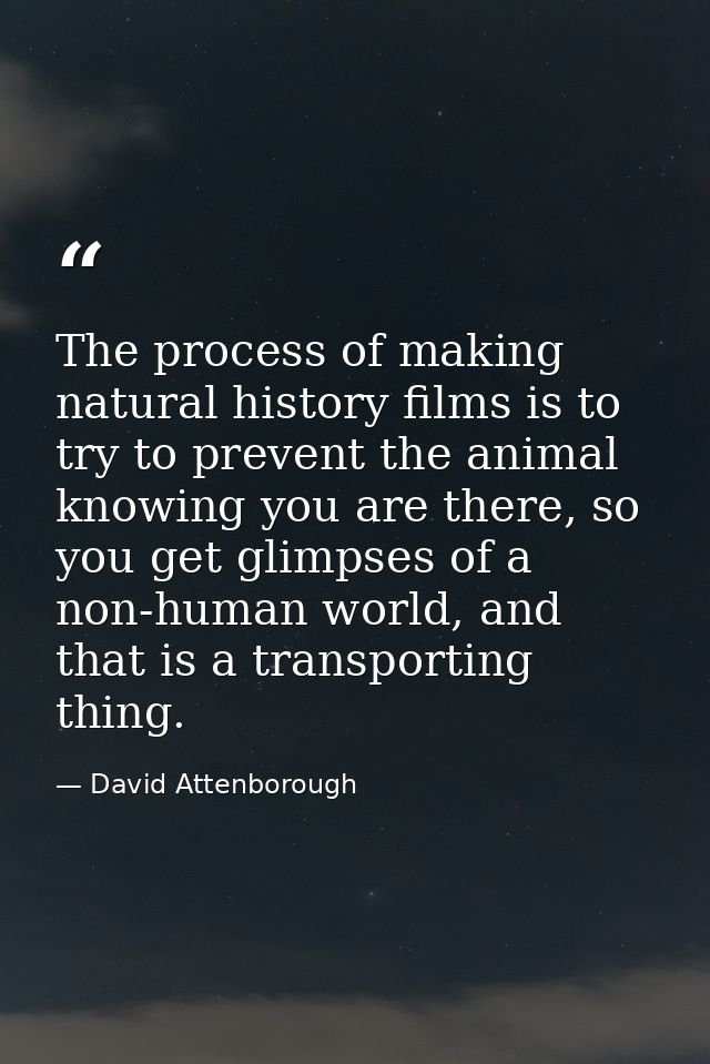 The process of making natural history films is to try to prevent the animal knowing you are there, so you get glimpses o — David Attenborough