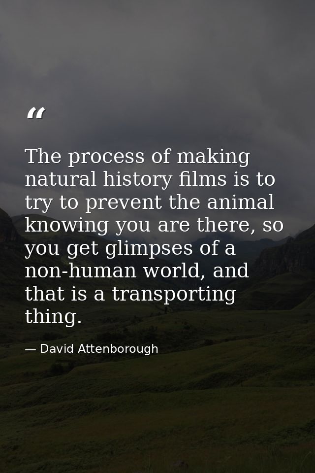 The process of making natural history films is to try to prevent the animal knowing you are there, so you get glimpses o — David Attenborough