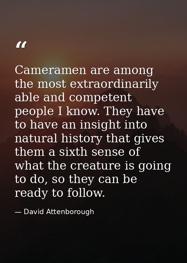 Cameramen are among the most extraordinarily able and competent people I know. They have to have an insight into natural — David Attenborough