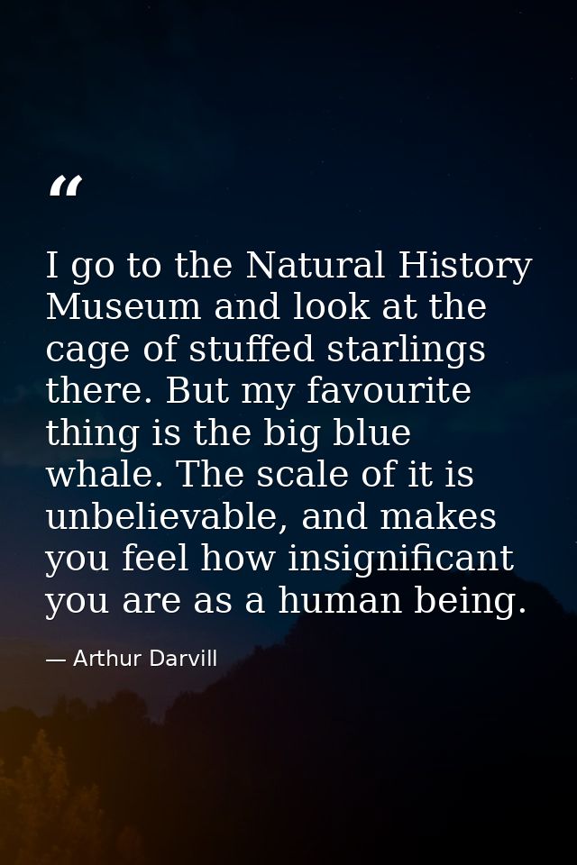 I go to the Natural History Museum and look at the cage of stuffed starlings there. But my favourite thing is the big bl — Arthur Darvill