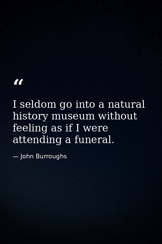 I seldom go into a natural history museum without feeling as if I were attending a funeral. — John Burroughs