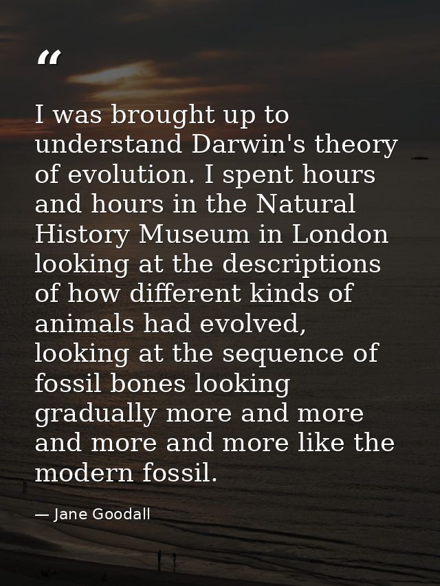 I was brought up to understand Darwin's theory of evolution. I spent hours and hours in the Natural History Museum in Lo — Jane Goodall