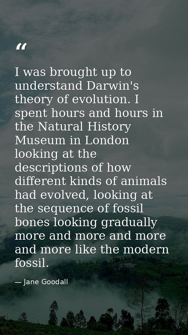 I was brought up to understand Darwin's theory of evolution. I spent hours and hours in the Natural History Museum in Lo — Jane Goodall