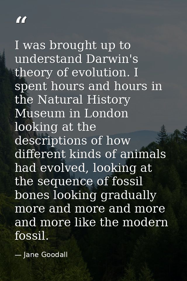 I was brought up to understand Darwin's theory of evolution. I spent hours and hours in the Natural History Museum in Lo — Jane Goodall