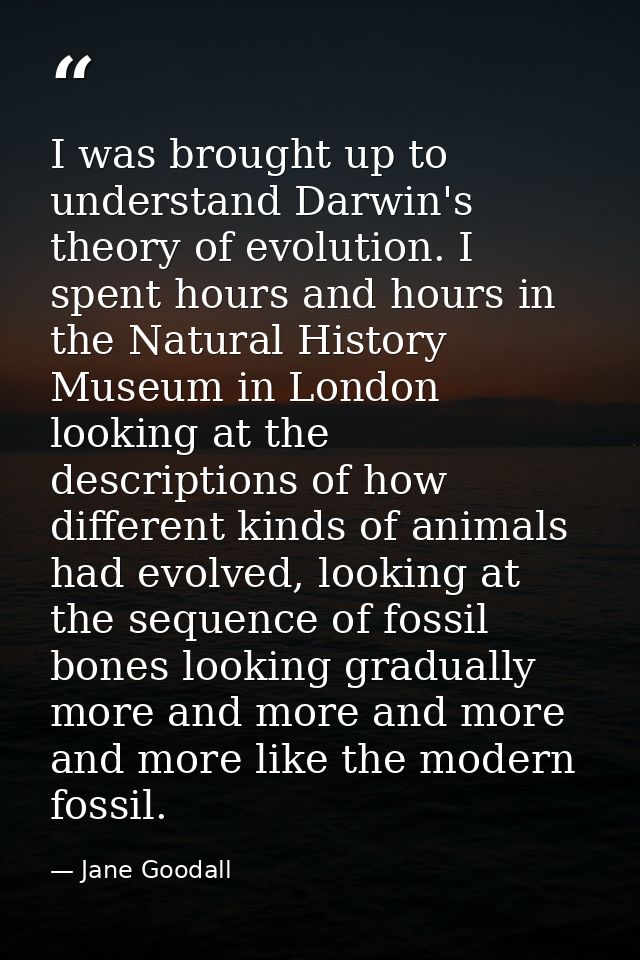 I was brought up to understand Darwin's theory of evolution. I spent hours and hours in the Natural History Museum in Lo — Jane Goodall