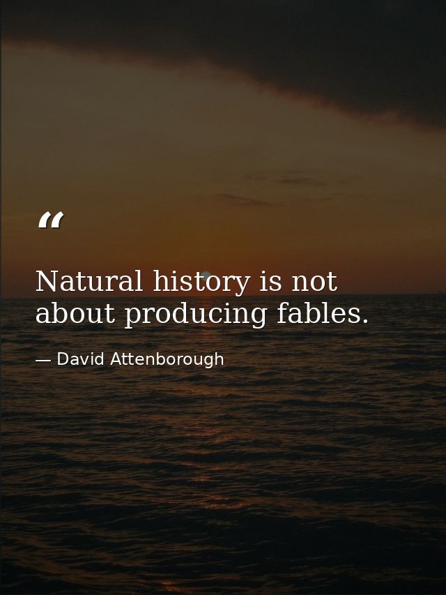 Natural history is not about producing fables. — David Attenborough