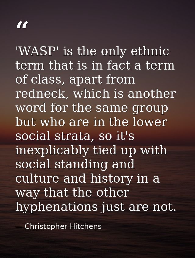 'WASP' is the only ethnic term that is in fact a term of class, apart from redneck, which is another word for the same g — Christopher Hitchens